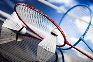 Bí Kíp Chơi Cá Cược Cầu Lông Loto188: Thắng Lớn Với Chiến Lược Đỉnh Cao