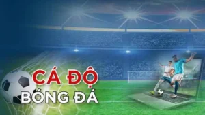 Cá Cược Bóng Đá Loto188 Kịch Tính Đỉnh Cao Giải Trí 2025