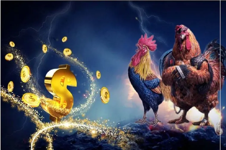Hướng Dẫn Tham Gia Đá Gà WS168 Tại Loto188 Đỉnh Cao Thắng Lớn