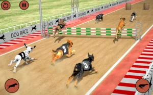 Bí Kíp Chơi Game Nhanh Đua Chó Loto188 Thắng Lớn Siêu Dễ Dàng